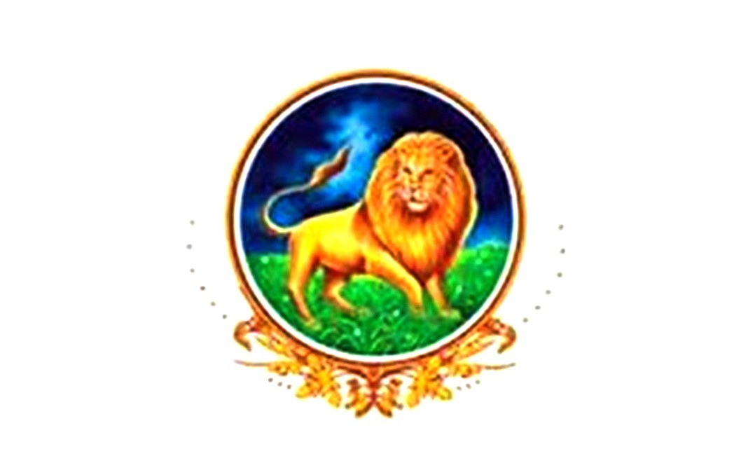 Lion Mixed Fruit Jam    Plastic Jar  250 grams